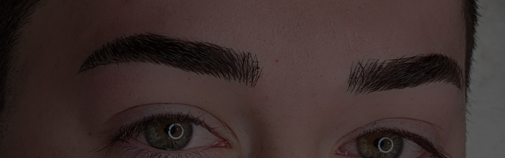 gallery-header