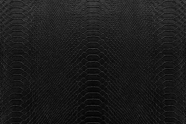 Texture background of black reptile leather
